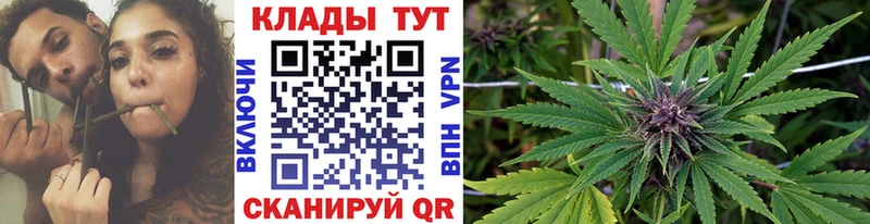 Купить Гатчина Alpha PVP COCAIN МЕФ Каннабис