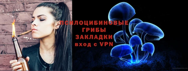 ешки Бугульма