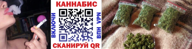 Конопля сатива продажа наркотиков Гатчина